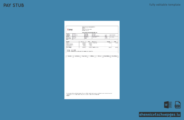 Gehaltsabrechnungsbeispiel von Genesys Telecom Labs India Pvt Ltd